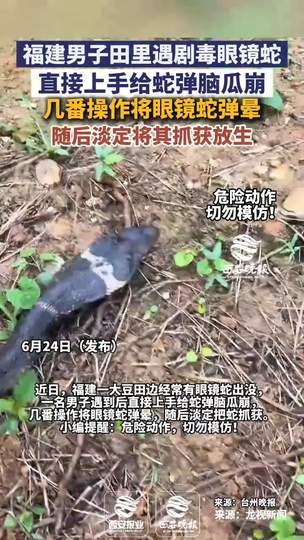 眼镜蛇弹脑瓜崩？王者荣耀中路新套路：蛇皮走位+弹指神通